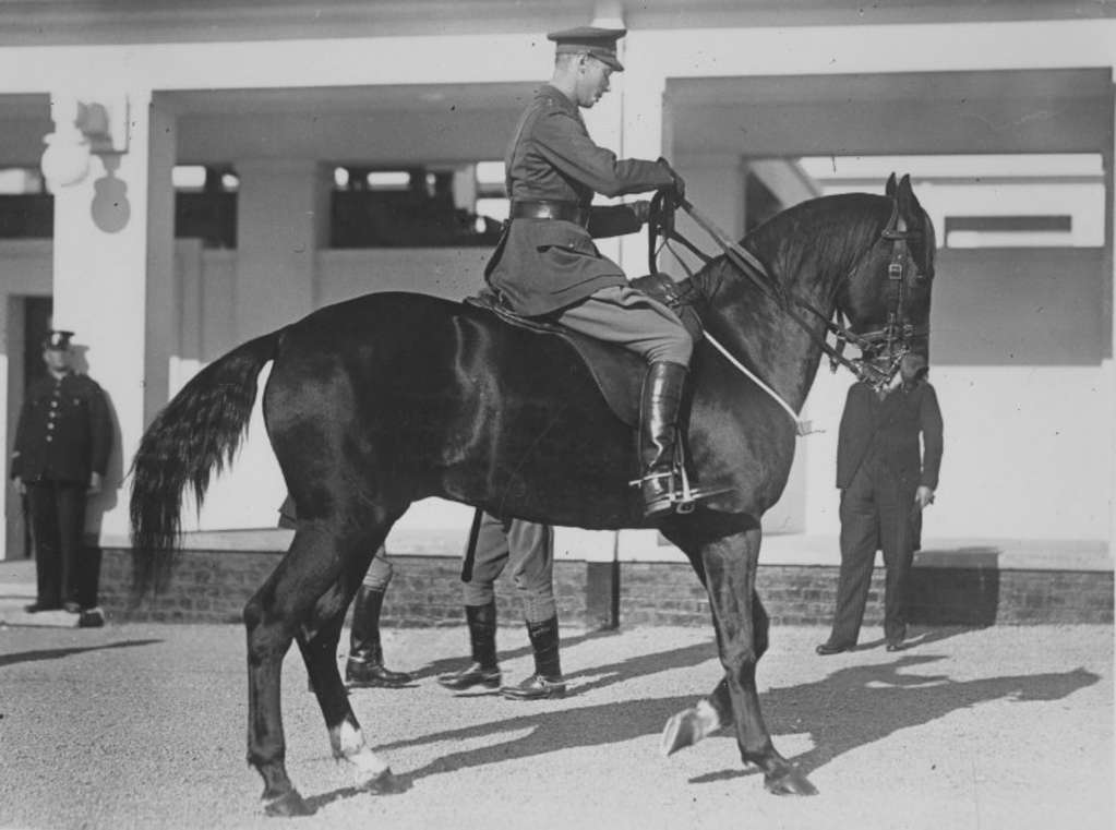 Prince Albert, Duke of York, riding a dark horse with two white 'socks'. Prince Albert, Duke of York, riding a dark horse with two white 'socks'.